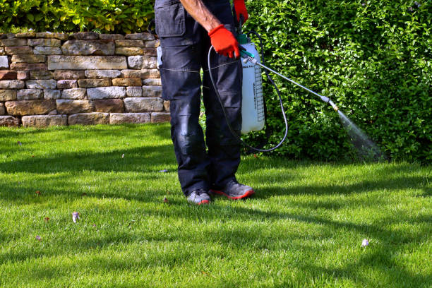 Best Lawn Pest Control  in Perry, MI